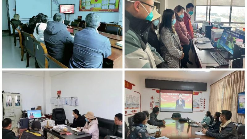 小标题：师资背景与教学效果的关系